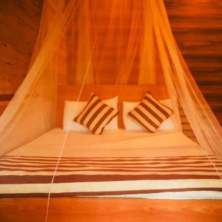 Talblick Homestay Ела Екстериор снимка