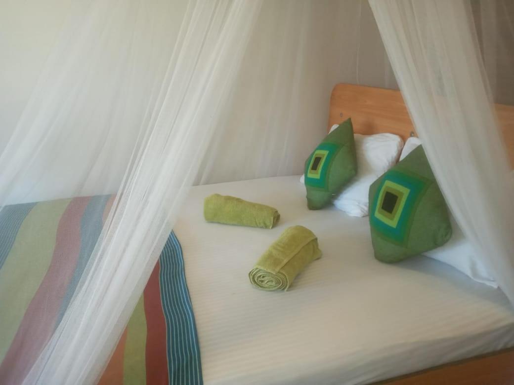 Talblick Homestay Ела Екстериор снимка