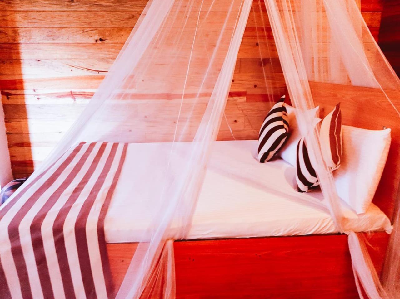 Talblick Homestay Ела Екстериор снимка