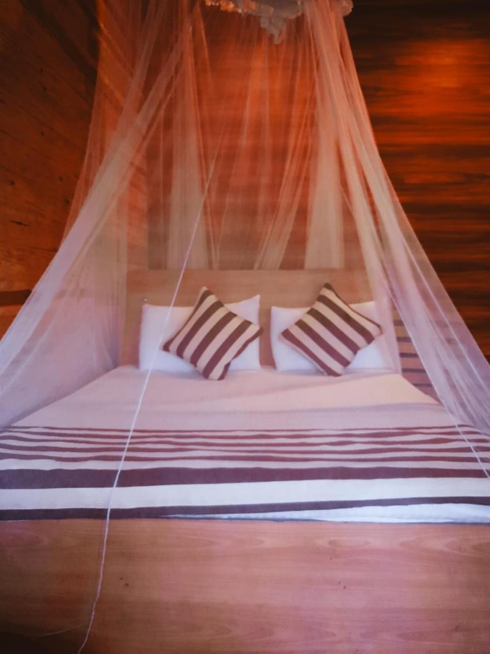 Talblick Homestay Ела Екстериор снимка